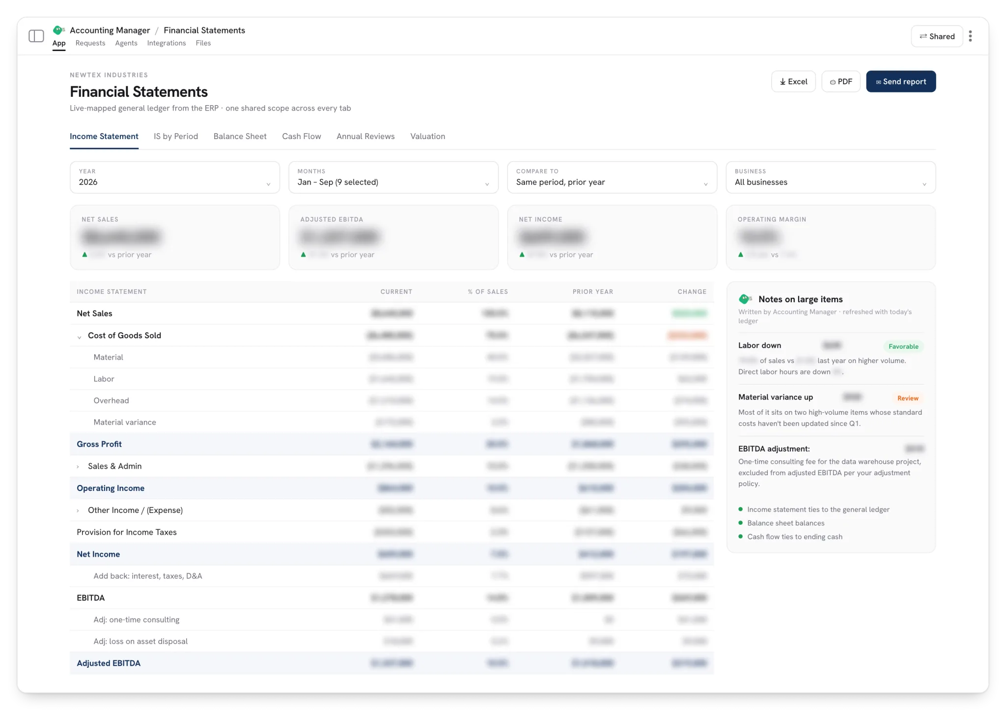 Financial Statements: Year-over-year income statement, EBITDA bridge and notes on large items.